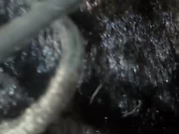 camilachiaramail