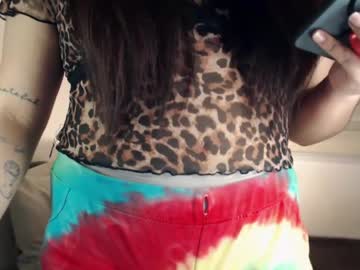 darcy_world
