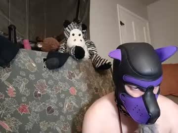 pupbenny
