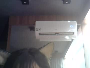 skinnykittencam